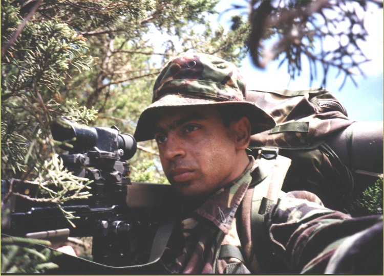 EXERCISE JUNGLE LION.JPG